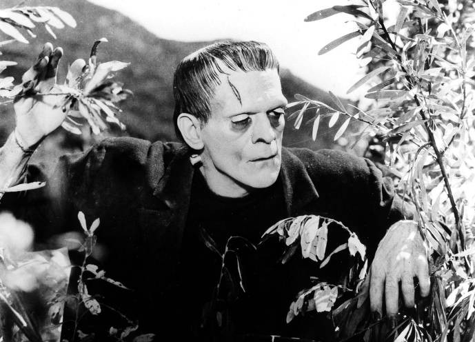 FRANKENSTEIN
