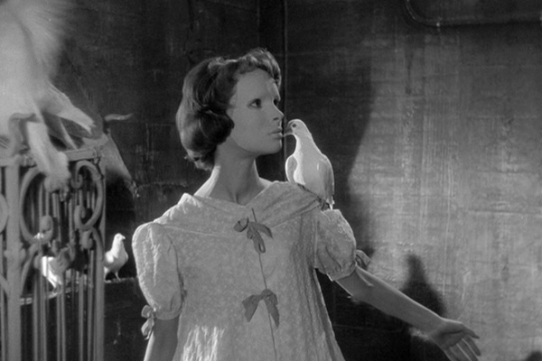 Eyes Without A Face