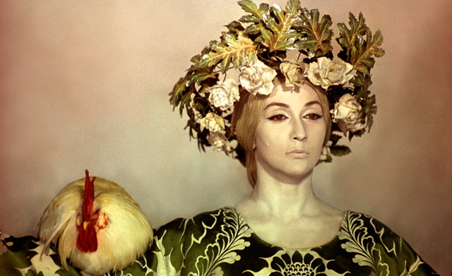 The Color of Pomegranates