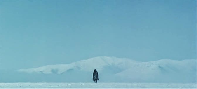 The Horse Thief