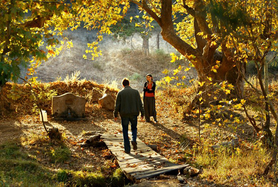 The Wild Pear Tree_